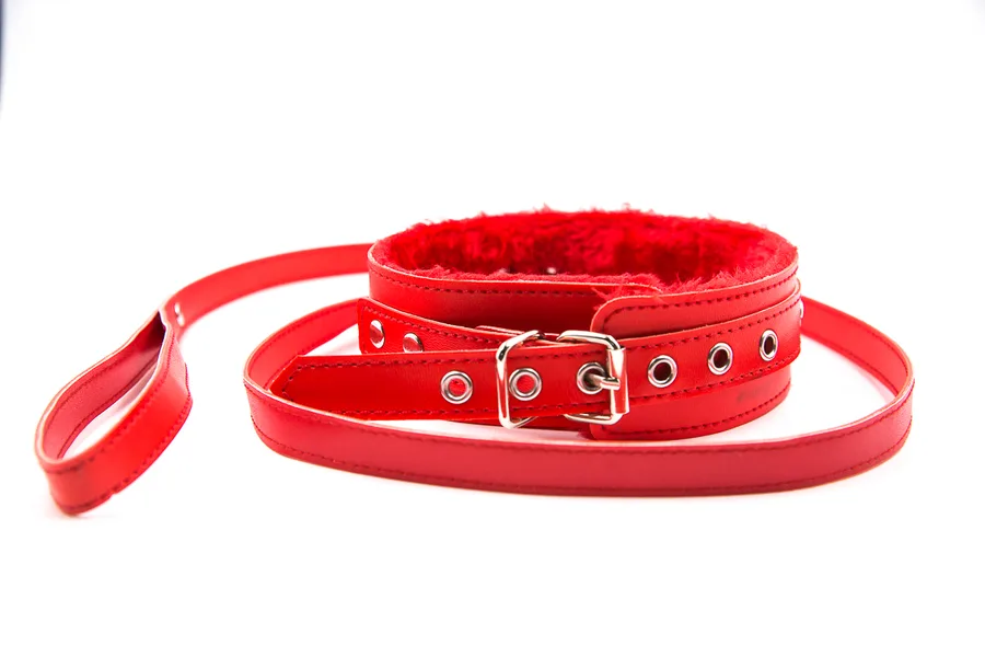 Ошейник и поводок красн